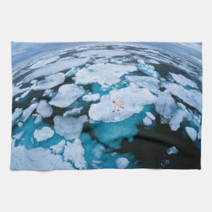 Ice & Snow   Polar Bear, Arctic Ocean, Svalbard Tea Towel