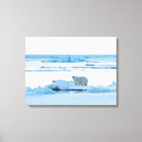 Ice & Snow | Polar Bear Iceberg Norway