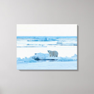 Ice & Snow   Polar Bear Iceberg Norway Canvas Print