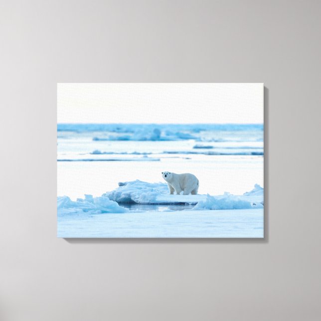 Ice & Snow | Polar Bear Iceberg Norway Canvas Print (Front)