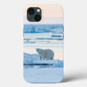 Ice & Snow   Polar Bear Iceberg Norway Case-Mate iPhone Case