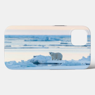 Ice & Snow   Polar Bear Iceberg Norway iPhone 13 Case