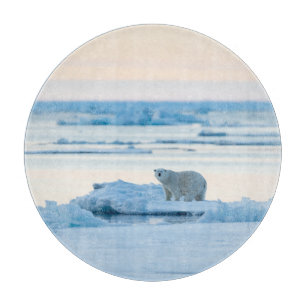 Ice & Snow Polar Bear Iceberg Norway Cutting Board