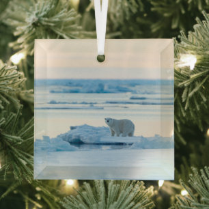 Ice & Snow   Polar Bear Iceberg Norway Glass Tree Decoration