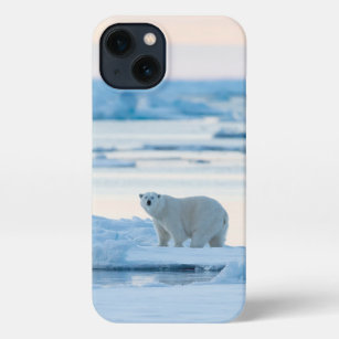 Ice & Snow   Polar Bear Iceberg Norway iPhone 13 Case