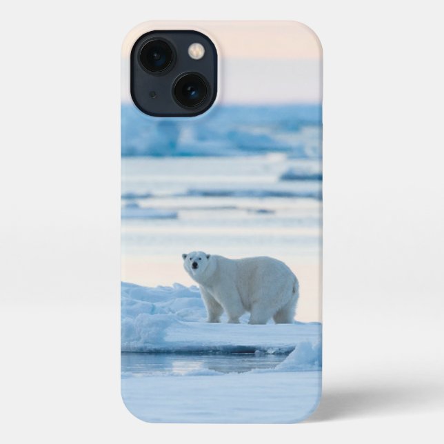 Ice & Snow | Polar Bear Iceberg Norway iPhone Case (Back)