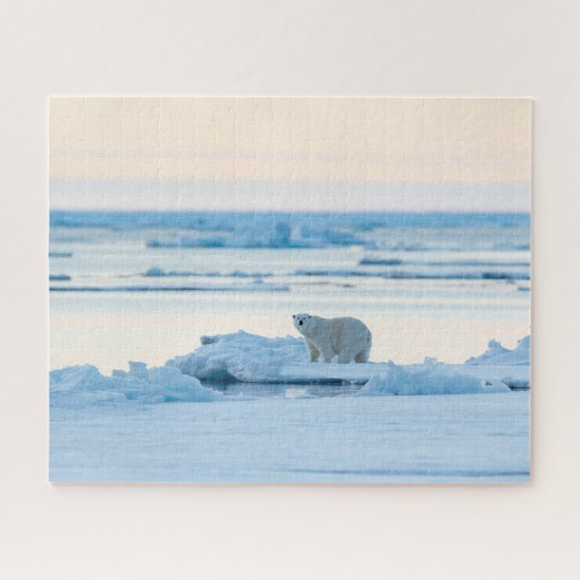 Ice & Snow | Polar Bear Iceberg Norway Jigsaw Puzzle (Horizontal)