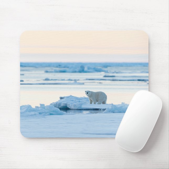Ice & Snow | Polar Bear Iceberg Norway Mouse Mat (With Mouse)