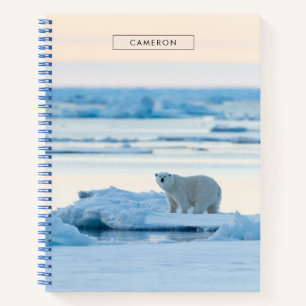 Ice & Snow   Polar Bear Iceberg Norway Notebook