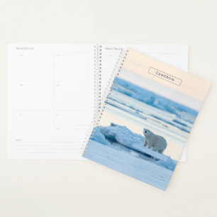 Ice & Snow   Polar Bear Iceberg Norway Planner