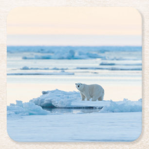 Ice & Snow   Polar Bear Iceberg Norway Square Paper Coaster