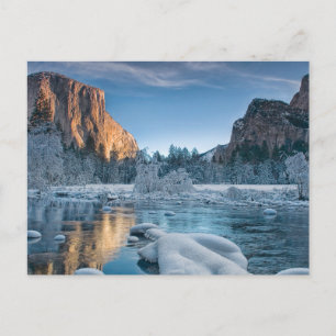 Ice & Snow   Rime Ice in Yosemite Valley Postcard
