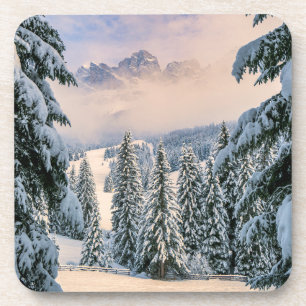 Ice & Snow   Rosengarten, Germany Coaster