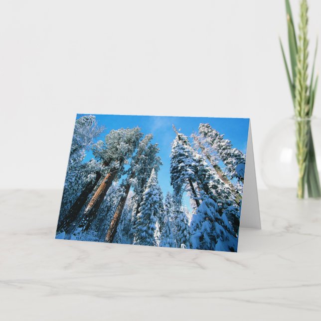 Ice & Snow | Sequoia National Park, California Card (Front)
