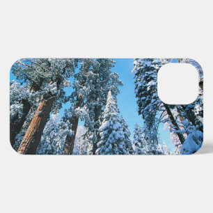 Ice & Snow   Sequoia National Park, California iPhone 13 Case