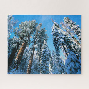 Ice & Snow Sequoia National Park, California Jigsaw Puzzle