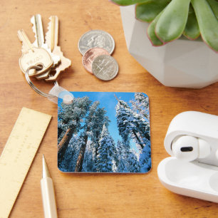Ice & Snow   Sequoia National Park, California Key Ring