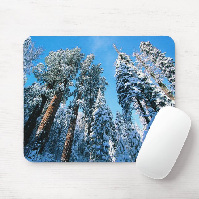 Ice & Snow | Sequoia National Park, California Mouse Mat (With Mouse)