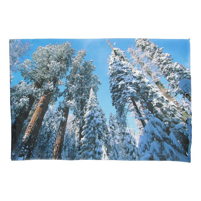 Ice & Snow | Sequoia National Park, California Pillowcase (Front)