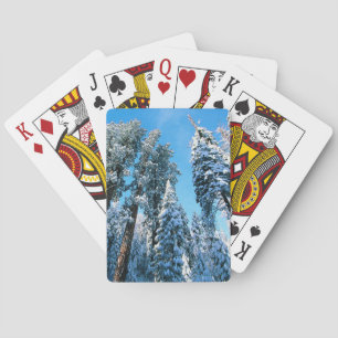Ice & Snow Sequoia National Park, California Playing Cards