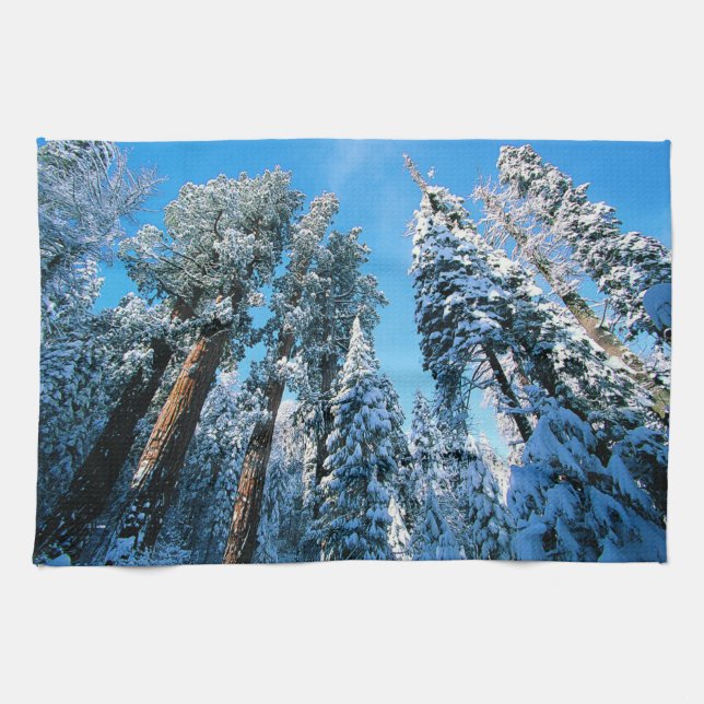 Ice & Snow | Sequoia National Park, California Tea Towel (Horizontal)