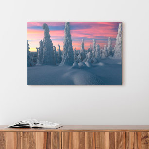 Ice & Snow Snow Covered Trees, Lapland, Finland Canvas Print