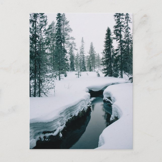 Ice & Snow | Stream in a Snowy Winter Landscape Postcard (Front)