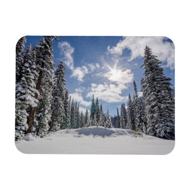 Ice & Snow | Sunrise Winter Snow Alberta, Canada Magnet (Horizontal)