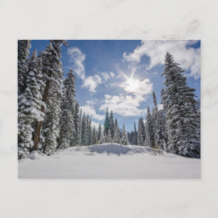 Ice & Snow   Sunrise Winter Snow Alberta, Canada Postcard