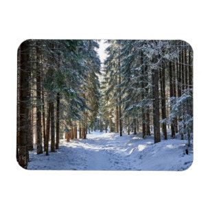 Ice & Snow Tatra Mountains, Poland Magnet
