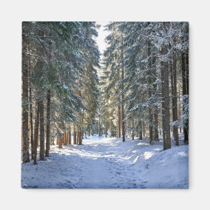 Ice & Snow   Tatra Mountains, Poland Magnet