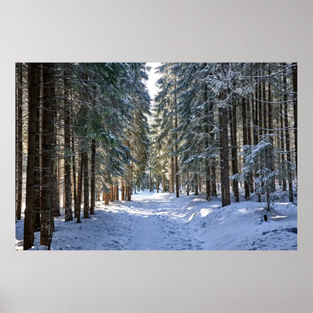 Ice & Snow | Tatra Mountains, Poland Poster (Front)