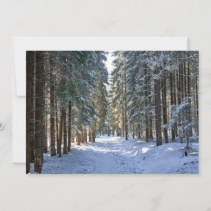 Ice & Snow Tatra Mountains, Poland Thank You Card