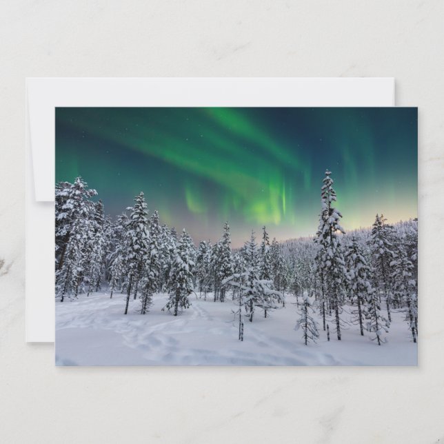 Ice & Snow | Winter Landscape, Finland Thank You Card (Front)