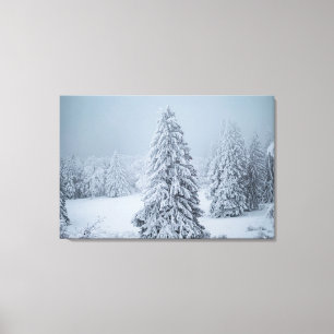 Ice & Snow Woodland, Swiss Alps Canvas Print