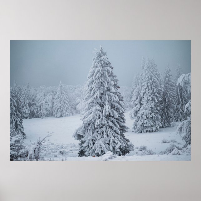 Ice & Snow | Woodland, Swiss Alps Poster (Front)