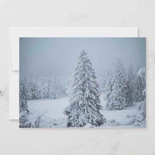 Ice & Snow | Woodland, Swiss Alps Thank You Card (Front)