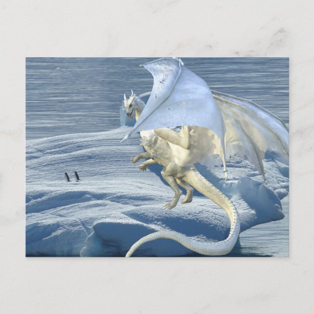 Ice White Dragon Snow Winter Penguins Postcard (Front)