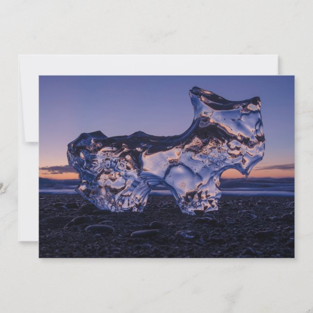Iceberg Dog Holiday Card (Front)