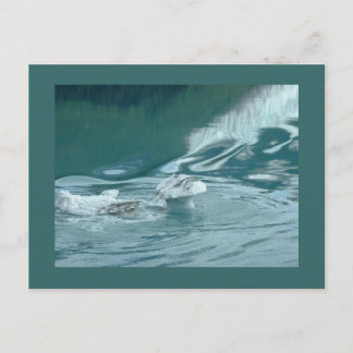 "Iceberg Mushroom Delight" Postcard