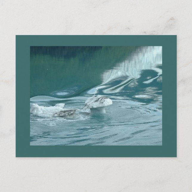 "Iceberg Mushroom Delight" Postcard (Front)