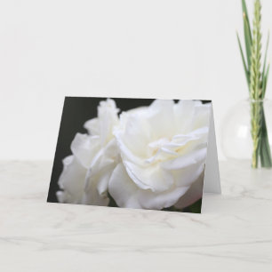 Iceberg roses sympathy card