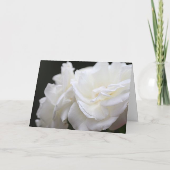 Iceberg roses sympathy card (Front)