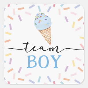 Icecream Gender Reveal Team Boy  Square Sticker