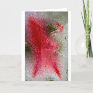 Iced Blossoms, Card