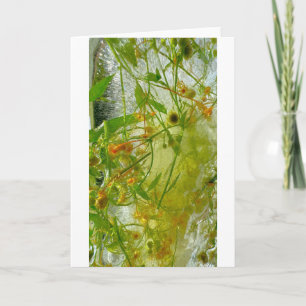 Iced Blossoms, Card