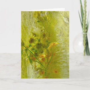 Iced Blossoms, Card
