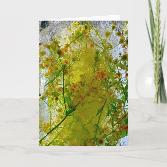 Iced Blossoms,  Card (Front)