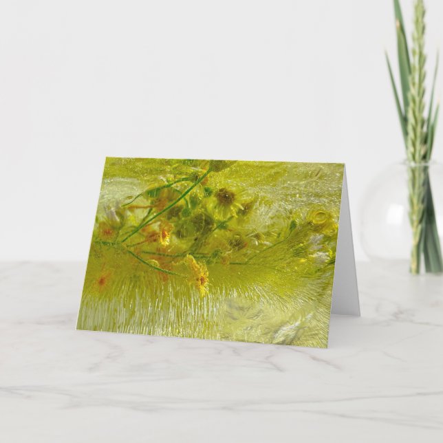 Iced Blossoms,  Card (Front)