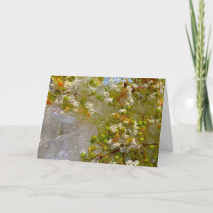 Iced Blossoms,  Card